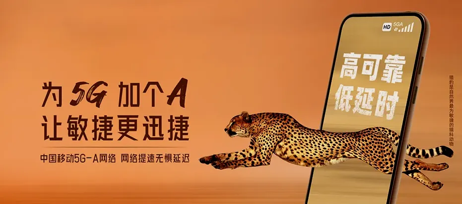 瀍河回族区瀍河回族区瀍河回族乡 移动宽带